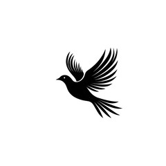 Obraz premium Black and White Silhouette of a Bird in Flight