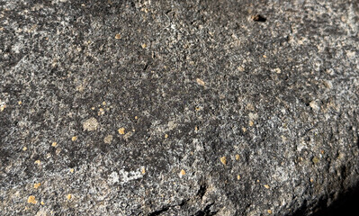 Textura de roca con liquen