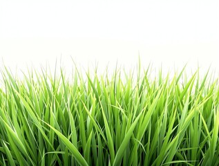 Obraz premium A close-up shot of freshly cut hybrid grass with visible cuts and slight sheen, nature's beauty, outdoor photography, cut blades, green foliage, hybrid grass
