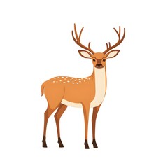 Obraz premium A Spotted Deer with Large Antlers Standing on a White Background