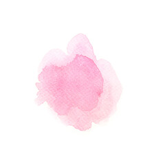 pink rose petals isolated on white