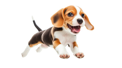 Puppy jumps in mid air, playful beagle puppy joyfully leaps with excitement, showcasing its energetic spirit and adorable features. This lively dog embodies happiness and playfulness