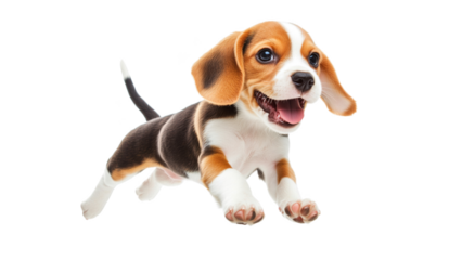 Puppy jumps in mid air, playful beagle puppy joyfully leaps with excitement, showcasing its energetic spirit and adorable features. This lively dog embodies happiness and playfulness
