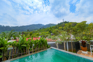 Stunning Pool with Breathtaking Nature View. Serene Early Morning View of the Outdoors.