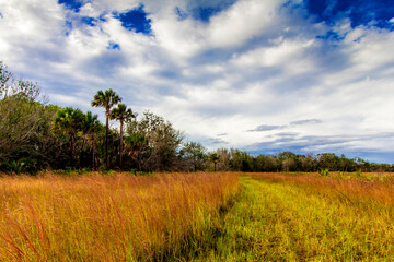 Kissimmee Prairie Preserve State Park, Florida