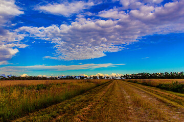 Kissimmee Prairie Preserve State Park, Florida