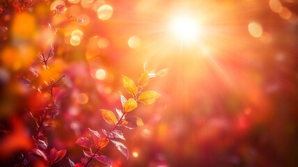 Autumn leaves illuminated by warm sunlight create a vibrant natural atmosphere