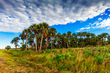 Kissimmee Prairie Preserve State Park, Florida