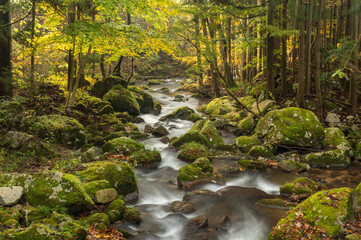 福島県矢祭町　秋の滝川渓谷