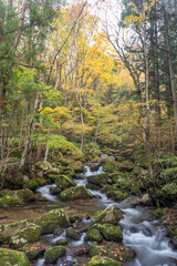 福島県矢祭町　秋の滝川渓谷