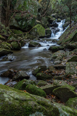 福島県矢祭町　秋の滝川渓谷
