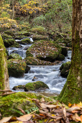 福島県矢祭町　秋の滝川渓谷