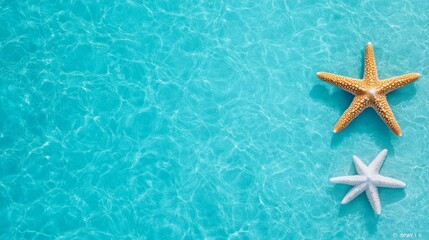 Summertime Bliss: Two starfish, one white and one brown, rest on a shimmering turquoise ocean surface, a summery invitation to escape and unwind.
