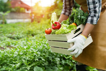 
Hands of farmer, Agriculture technology farmer man using tablet Modern technology concept agriculture.