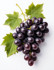 Fototapeta premium Fresh Bunch of Black Grapes Isolated on a White Background.
