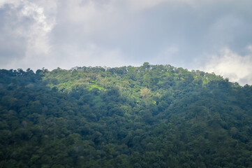 Mountain and tree in Northern Thailand,South East Asia