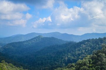 Fototapeta premium Mountain and tree in Northern Thailand,South East Asia