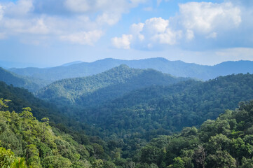 Mountain and tree in Northern Thailand,South East Asia