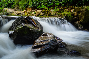 Little Creek in jungle at Doi Saket chiangmai Northern Thailand,South East Asia