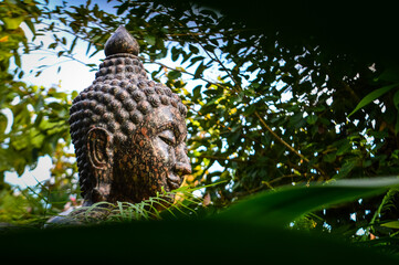 Buddha Face statue Among Green Nature