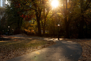 Central Park footpath autumn sunlight