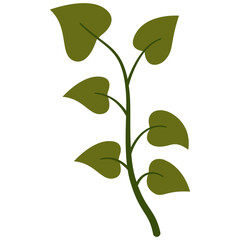 Green Tropical Exotic Leaves. Isolated on a White Background. Vector Illustration in Flat Style.