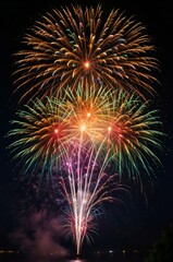 fireworks in the night sky