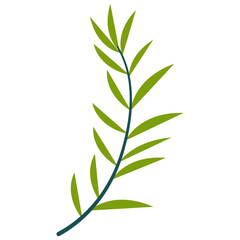 Green Tropical Exotic Leaves. Isolated on a White Background. Vector Illustration in Flat Style.