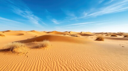 Stunning Panoramic View of Golden Sand Dunes Under a Vivid Blue Sky - Breathtaking Desert Landscape Photography
