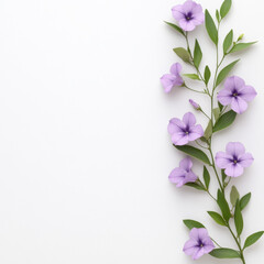 Fototapeta premium flowering periwinkle vine with small violet blooms and green leaves creates serene and elegant composition. delicate flowers add touch of nature beauty