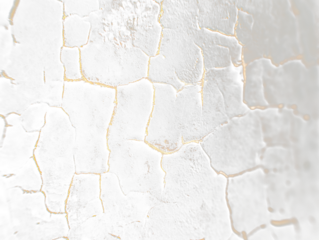 Here's a description for your stock photo

 Close-up of dark, cracked surface; textured Transparent Background.