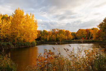 Autumn in the parks of Quebec 