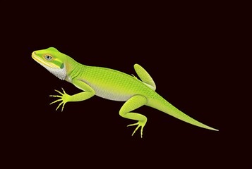 _ . L &ndash; A lounging lizard, its body forming the right angle of