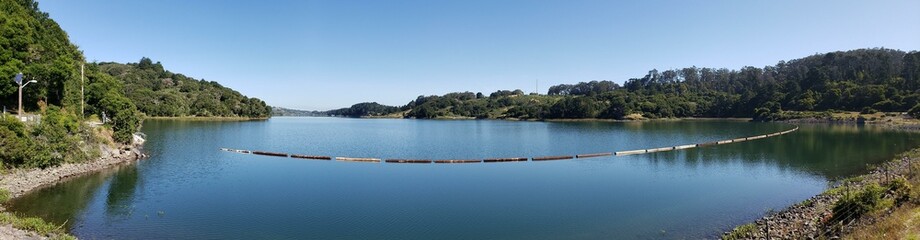 Tranquil Lake Surrounded by Forest