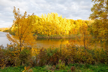 Obraz premium autumn landscape with lake and trees