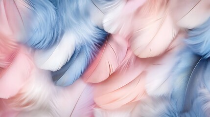 Aesthetic Feathers in Pastel Colors