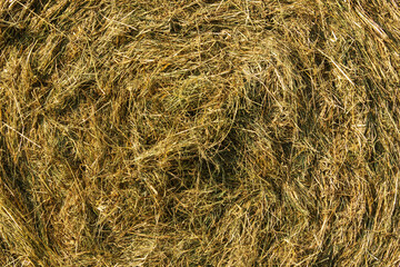 Straw bale rolled tightly under sunlight at a rural setting in a country landscape
