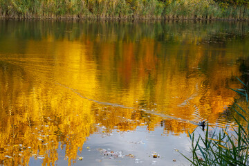 reflection in the water