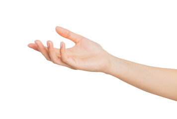 Woman hand touching or pointing on isolated white background.