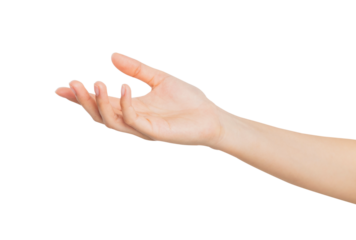 Woman hand touching or pointing on isolated white background.