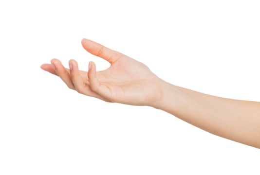 Woman hand touching or pointing on isolated white background.