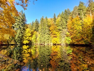 Fototapeta premium Indian Summer