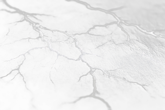 Here's a description for your stock photo

 Abstract monochrome close-up of vein-like patterns on a dark surface.