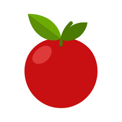 Cranberry Fruit Color Clip Art Vector Design 