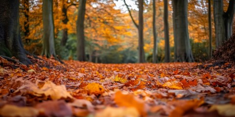 A tranquil autumn scene featuring a path covered in vibrant orange and yellow leaves. The trees in the background create a feeling of peace and beauty in nature. Perfect for seasonal themes. AI