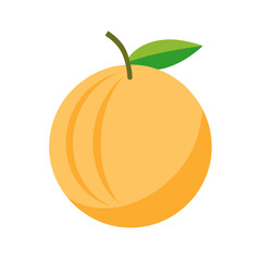 honeydew isolated on white background