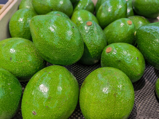 fresh avocado in the market