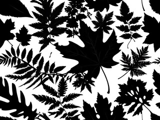 Fototapeta premium seamless pattern with leaves