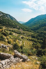 Mountain Valley Landscape