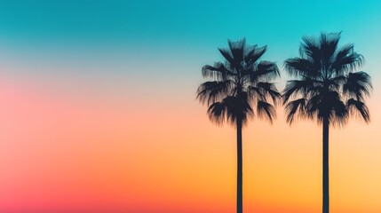Tropical Sunset Silhouette 